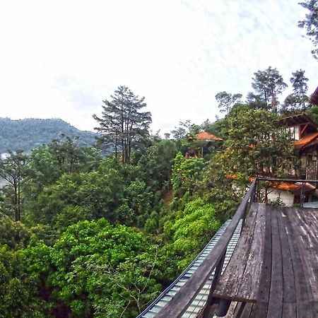 Langit Rimba Resort Σερεμπάν Εξωτερικό φωτογραφία