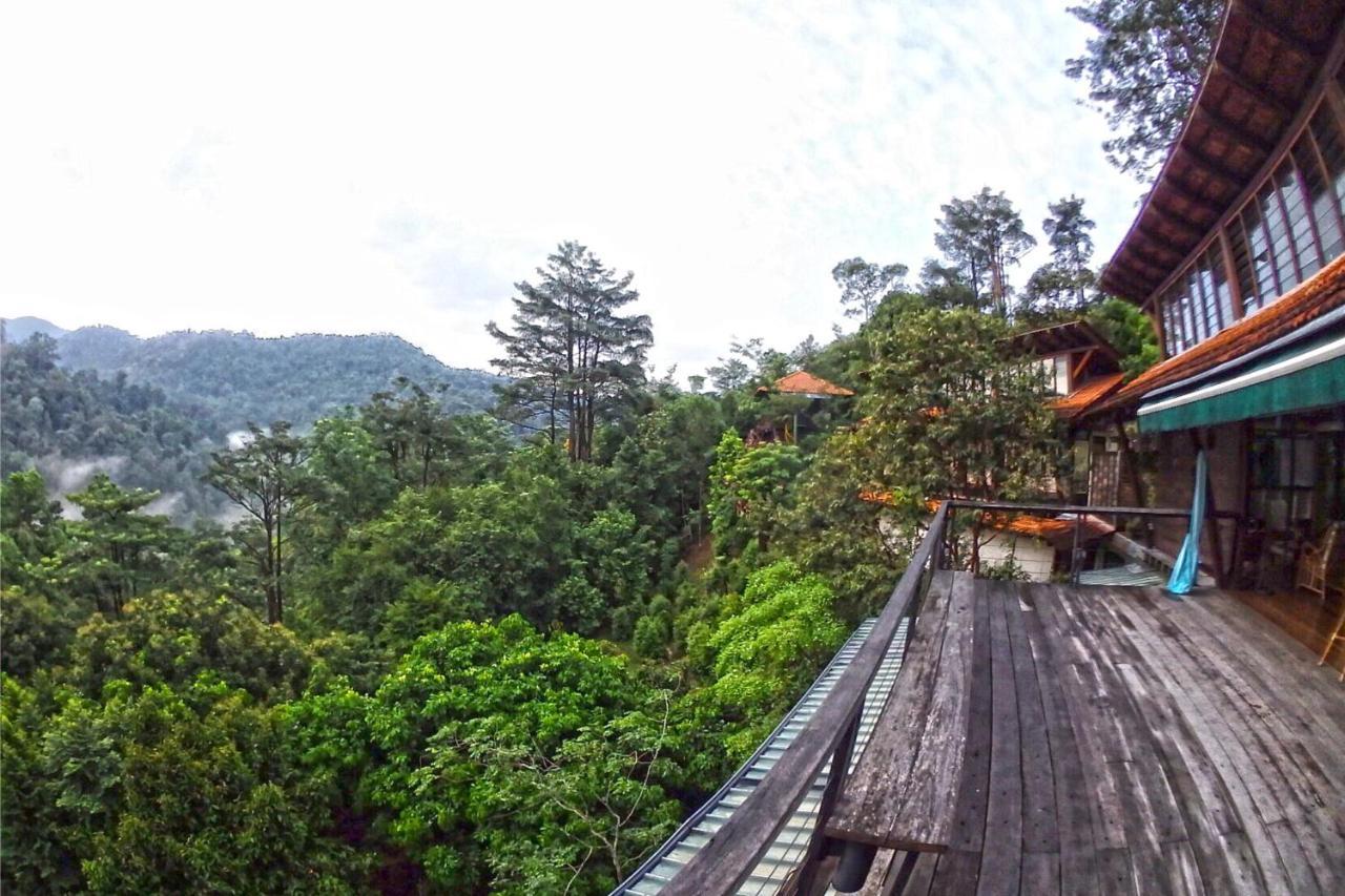 Langit Rimba Resort Σερεμπάν Εξωτερικό φωτογραφία